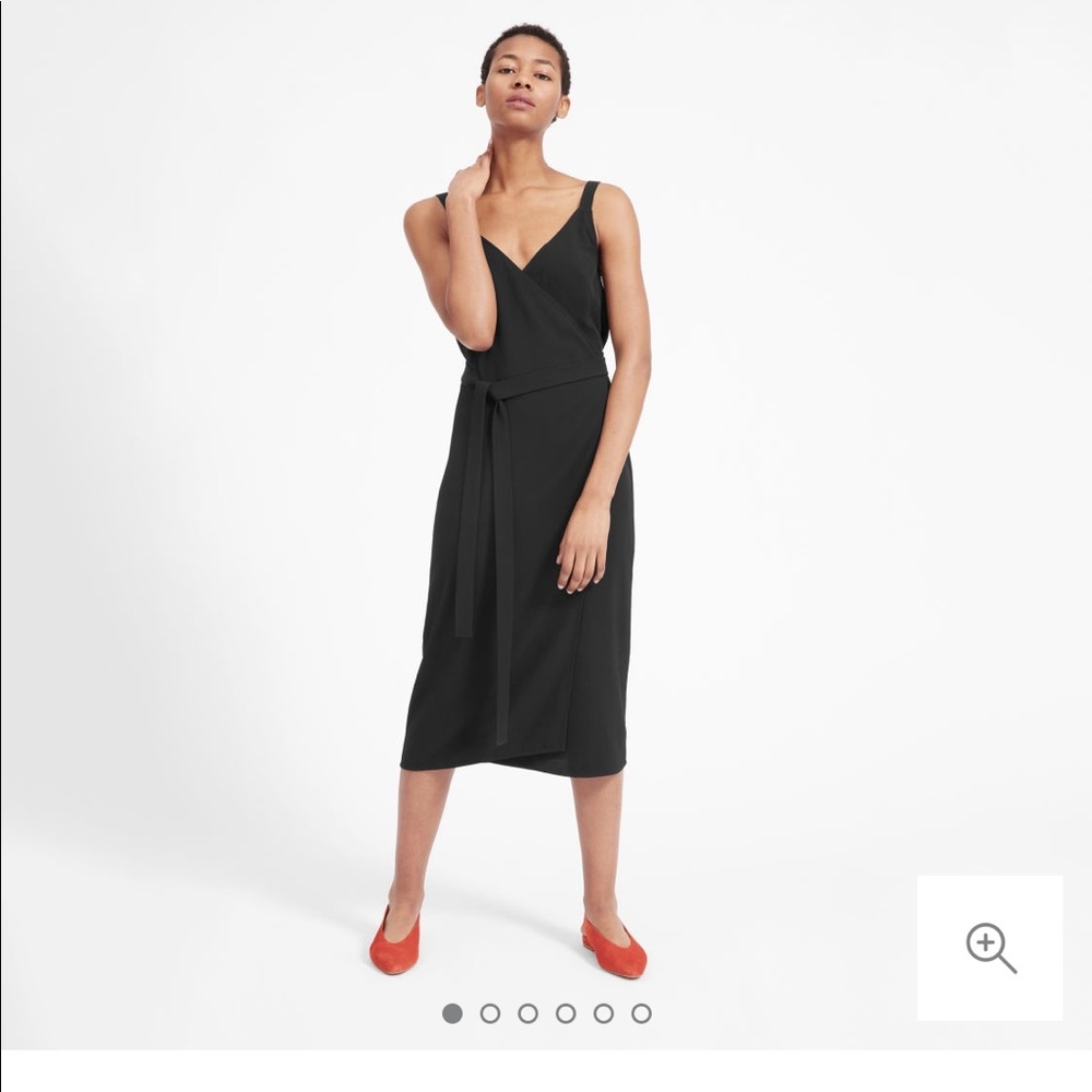Everlane Japanese go weave wrap dress